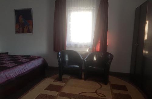 Radauti Bed & Breakfast | Casa David