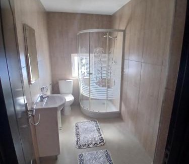 Sighetu Marmatiei House | Casa David