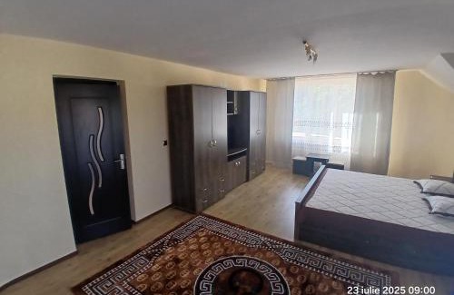 Sighetu Marmatiei House | Casa David