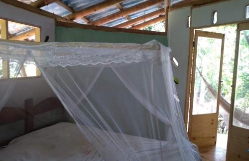 Serra Grande House | Casa de Bambu