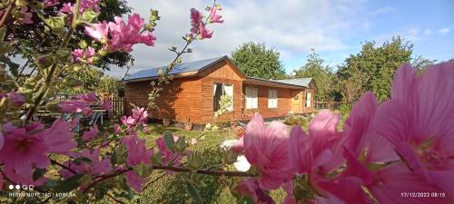 Llifen Apartment | Casa de campo Llifén Futrono Lago Ranco
