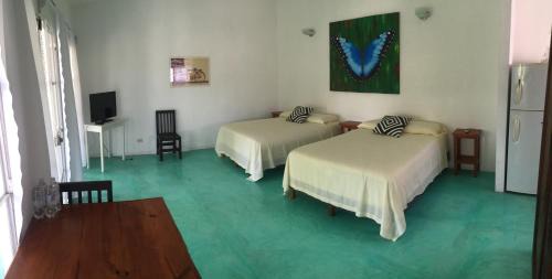 Tlacotalpan Apartment | Casa de la Luz - Studio Apartment