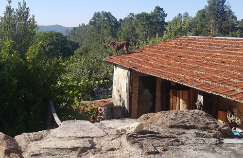 Sao Pedro do Sul House | Casa de Lagarto-quinta-nature-B & B