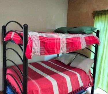 Yautepec House | Casa de las iguanas