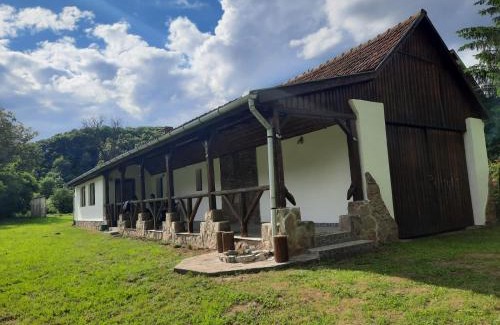 Pesteana House | Casa de Peste Apă