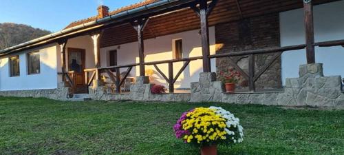 Pesteana House | Casa de Peste Apă
