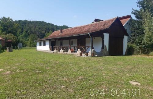 Pesteana House | Casa de Peste Apă