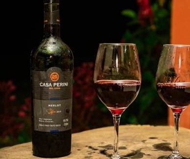 Northeast Region House | Casa de Serra Guaramiranga