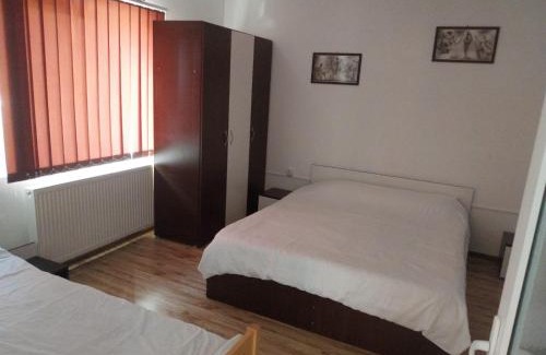 Viseu de Jos House | Casa de vacanță Fabian