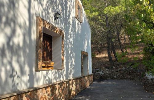 Dehesa de Santiago Ski Chalet | Casa del arroyo