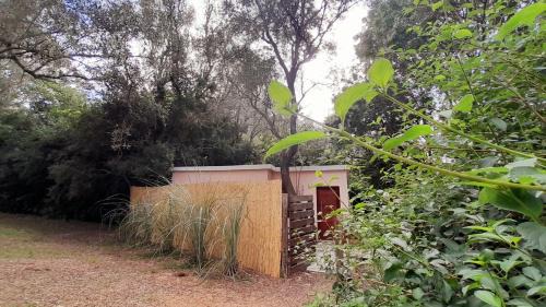 Punta Ballena House | Casa del Bosque