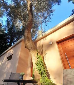 Punta Ballena House | Casa del Bosque