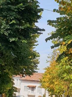 Belvedere Langhe House | Casa Di Collina Nelle Langhe Typical country house