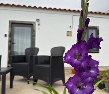 Faja Grande House | Casa do Branco