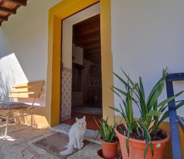 Porto de Mos House | Casa do Largo