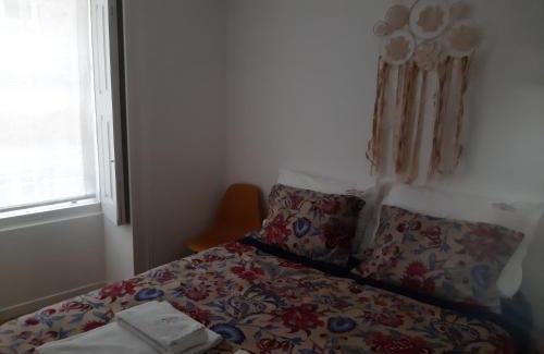 Ponte de Lima Apartment | Casa do Xico