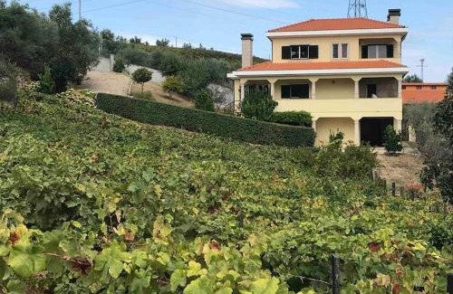 Lamego House | Casa dos Copins