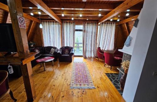 Tesila Apartment | Casa Edenland Doftana