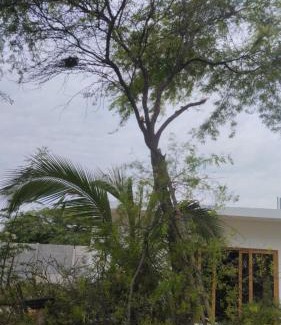 Mancora Apartment | Casa Eduardo