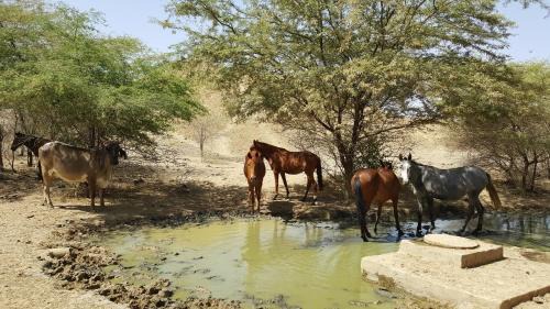 Mancora Apartment | Casa Eduardo
