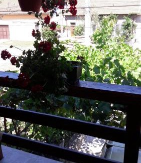 Eselnita House | Casa Elena Eselnita