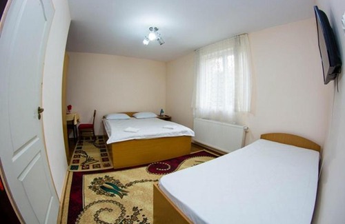 Vatra Dornei House | casa elysse