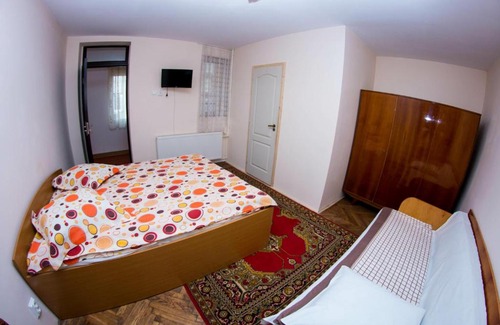 Vatra Dornei House | casa elysse