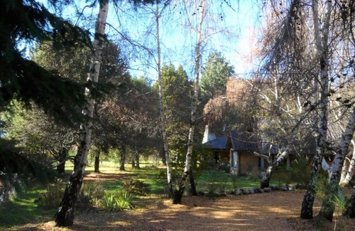 Peninsula San Pedro House | Casa en el bosque a metros del lago Nahuel Huapi