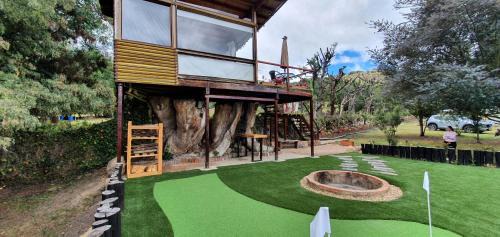 Suesca House | Casa en el Árbol