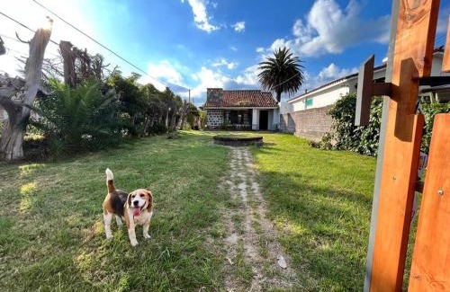 Piriapolis House | Casa en Piriapolis
