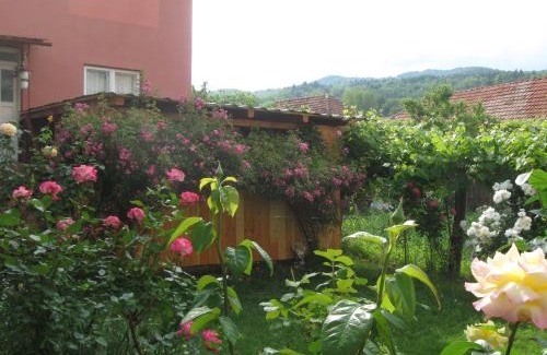Calimanesti House | Casa Fabrizio