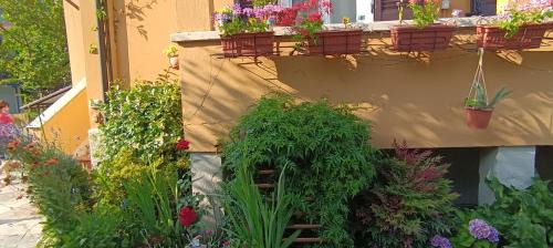 Pallanza Apartment | Casa fiori e lago