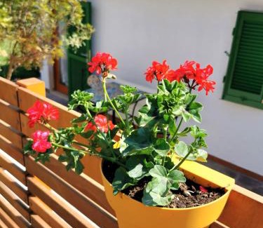 Lacona House | Casa Fiorita