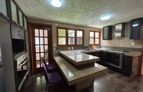 Coyoacan Bed & Breakfast | Casa Frida Coyoacán