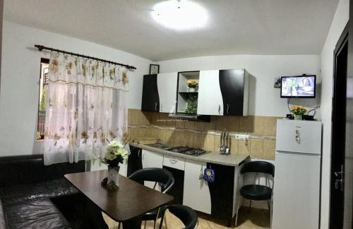 Poiana Tapului Apartment | Casa GDG