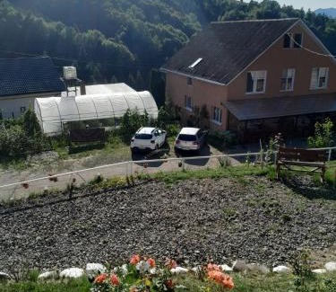 Tiha Bargaului Bed & Breakfast | Casa Geanina