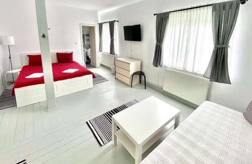 Vatra Dornei House | Casa Ghioceilor