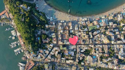 Ischia Porto Apartment | Casa Giusto Ischia 3