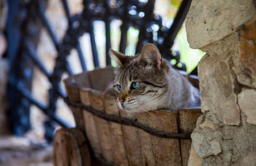 Chiaramonte Gulfi Bed & Breakfast | Casa Go'El