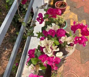 Devikolam House | Casa Grande Homestay Anaviratty Munnar