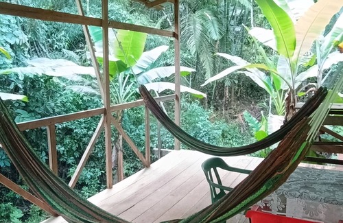 Puerto Narino Apartment | Casa Hotel Rodeadas de la Naturaleza y Voses Silvestre, Amaneces con Aves , 🙉