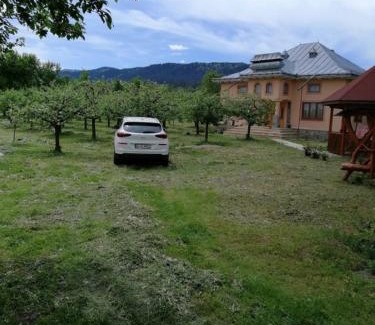 Agapia House | Casa Ilea -Agapia