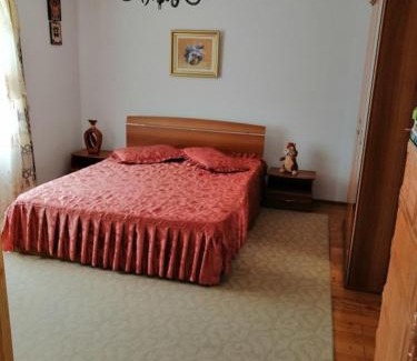 Agapia House | Casa Ilea -Agapia
