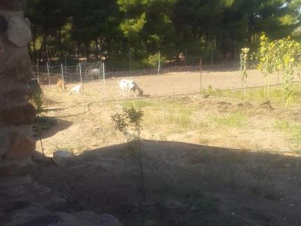 Sant'Antioco House | Casa in pietra