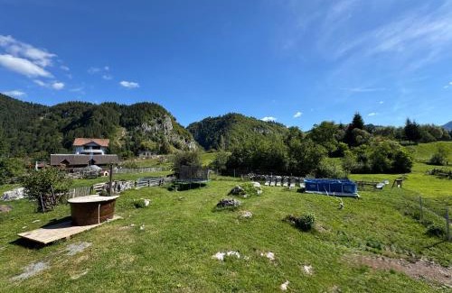 Dambovicioara House | Casa Ioana și Florin