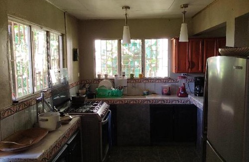 Daniel Flores House | Casa Jungla