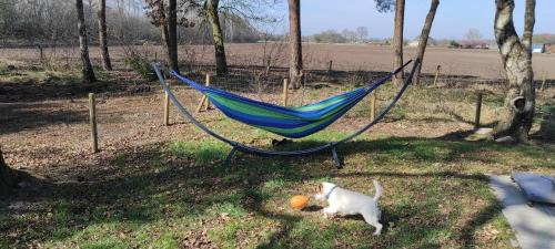 Municipality of Hellendoorn Ski Chalet | casa kwispel genieten met uw hond in de natuur