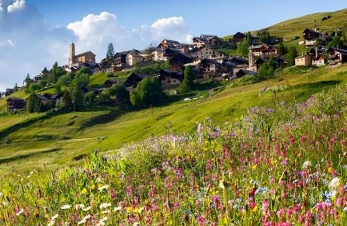 Saint-Veran Apartment | CASA-La Lobio foot of the slopes breathtaking views 4p