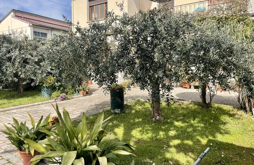 Vecchiano Apartment | Casa La Palma in San Giuliano Terme