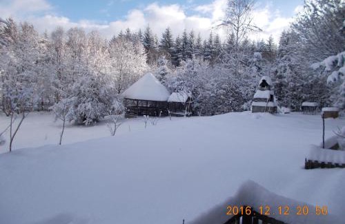 Cristian House | Casa Lacramioara